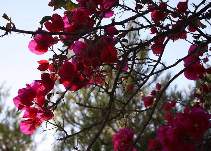 Meltemi And Lägenhet