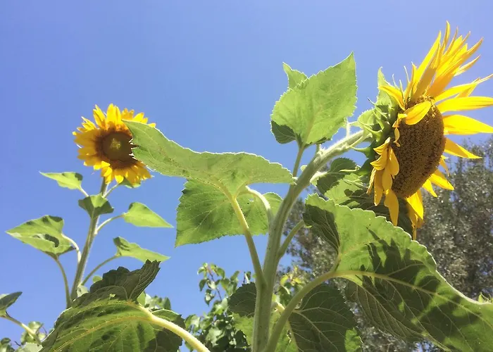 Meltemi And Lägenhet Logaras