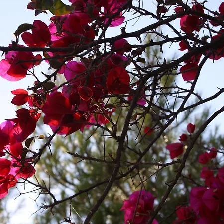 Meltemi And Apartmán