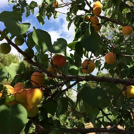 Apartmán Meltemi And Logaras